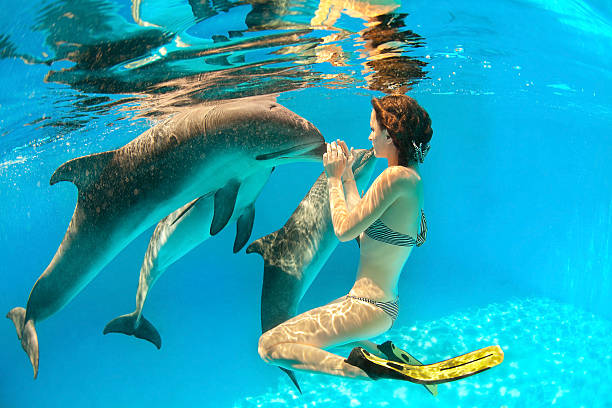Girl touches a dolphin’s nose under water